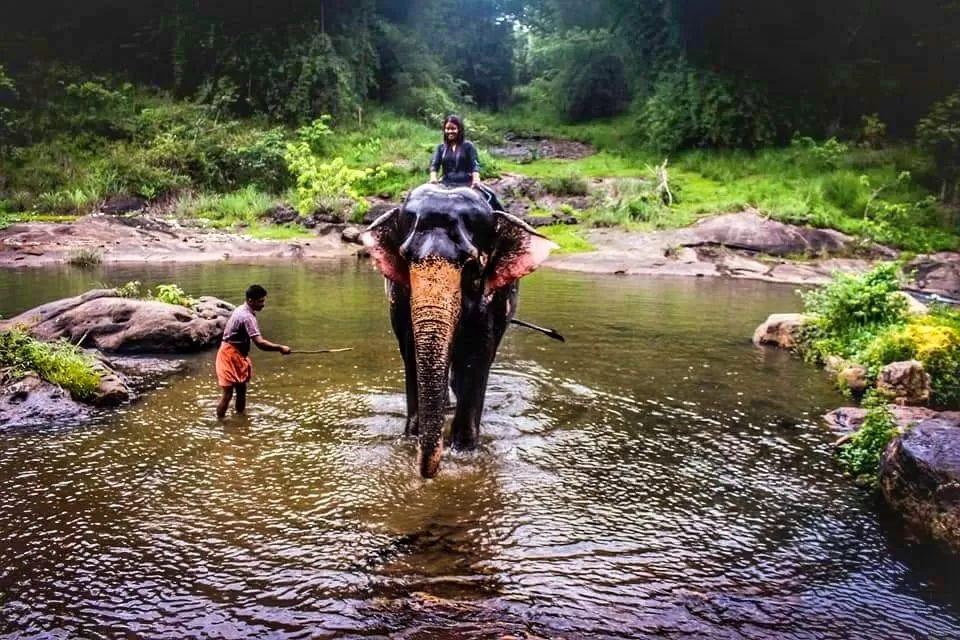 Photo of Kerala By Tanushriya Adhikary