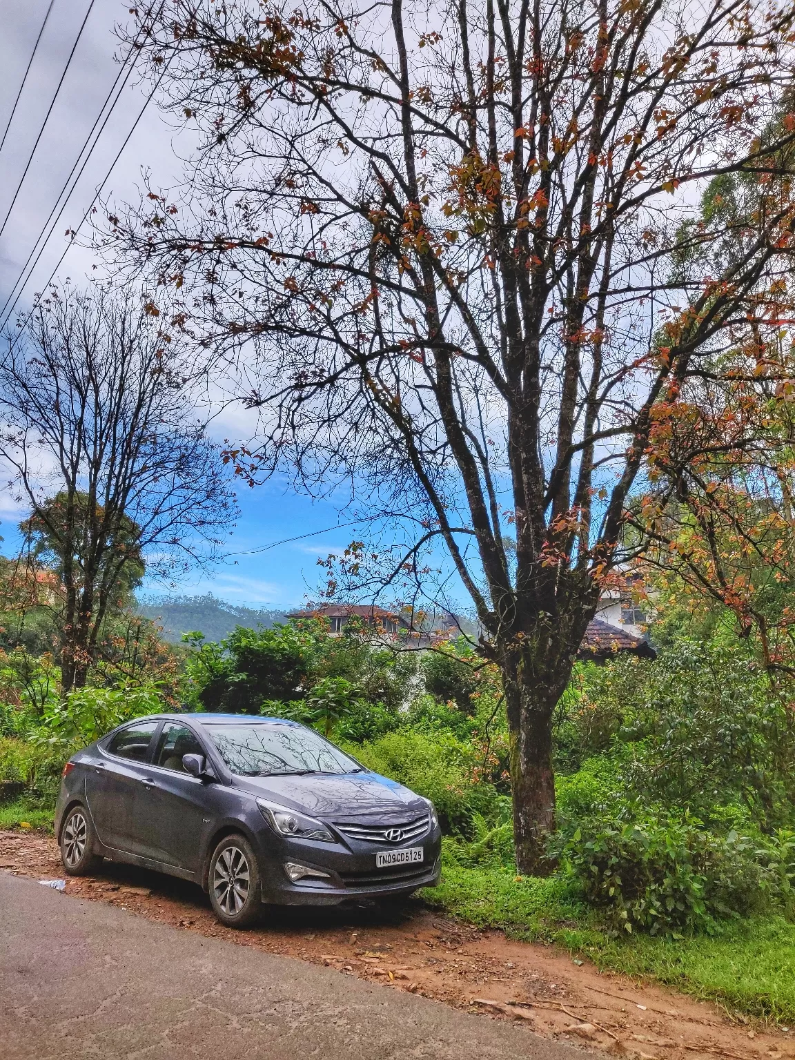 Photo of Kerala By Tanushriya Adhikary