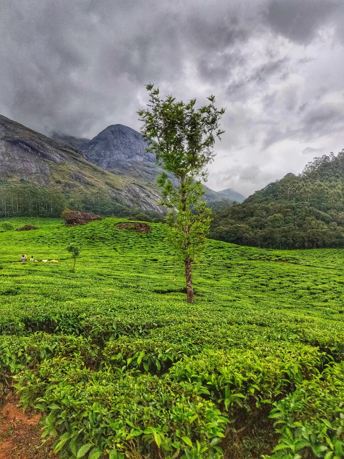 Photo of Kerala By Tanushriya Adhikary