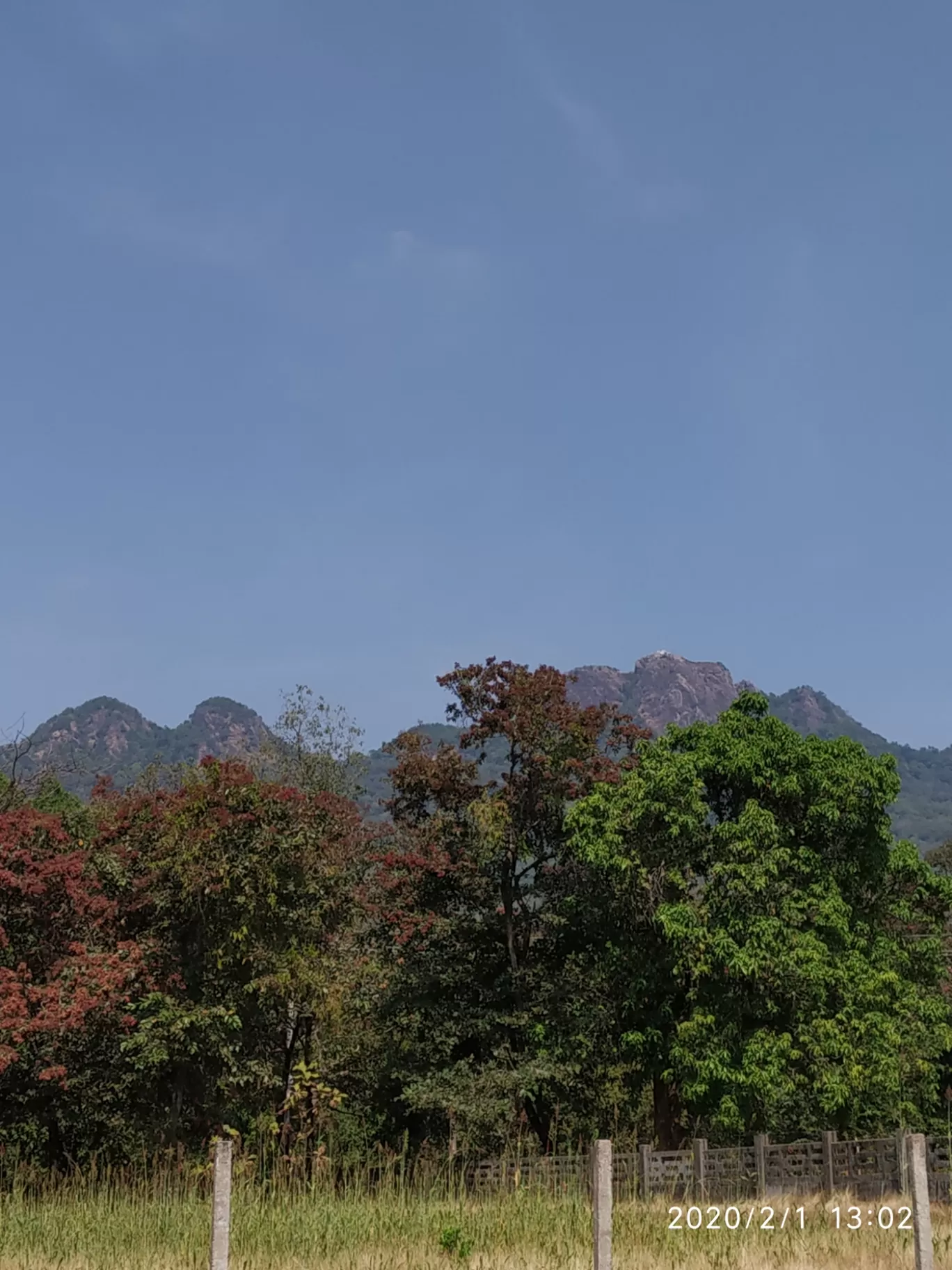 Photo of Shirve Gudda By pandarinath malavade