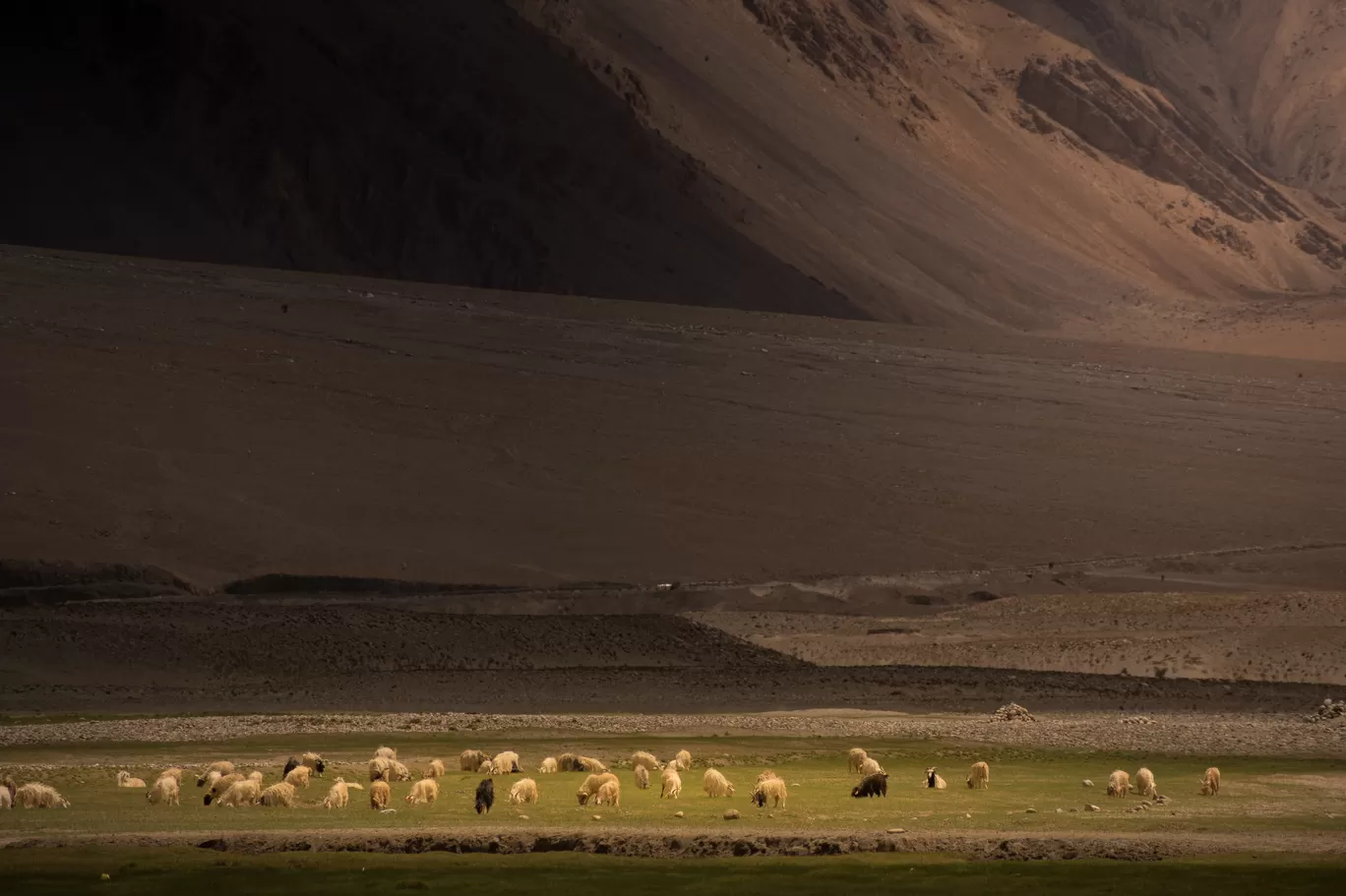 Photo of Zanskar By Tanay Das