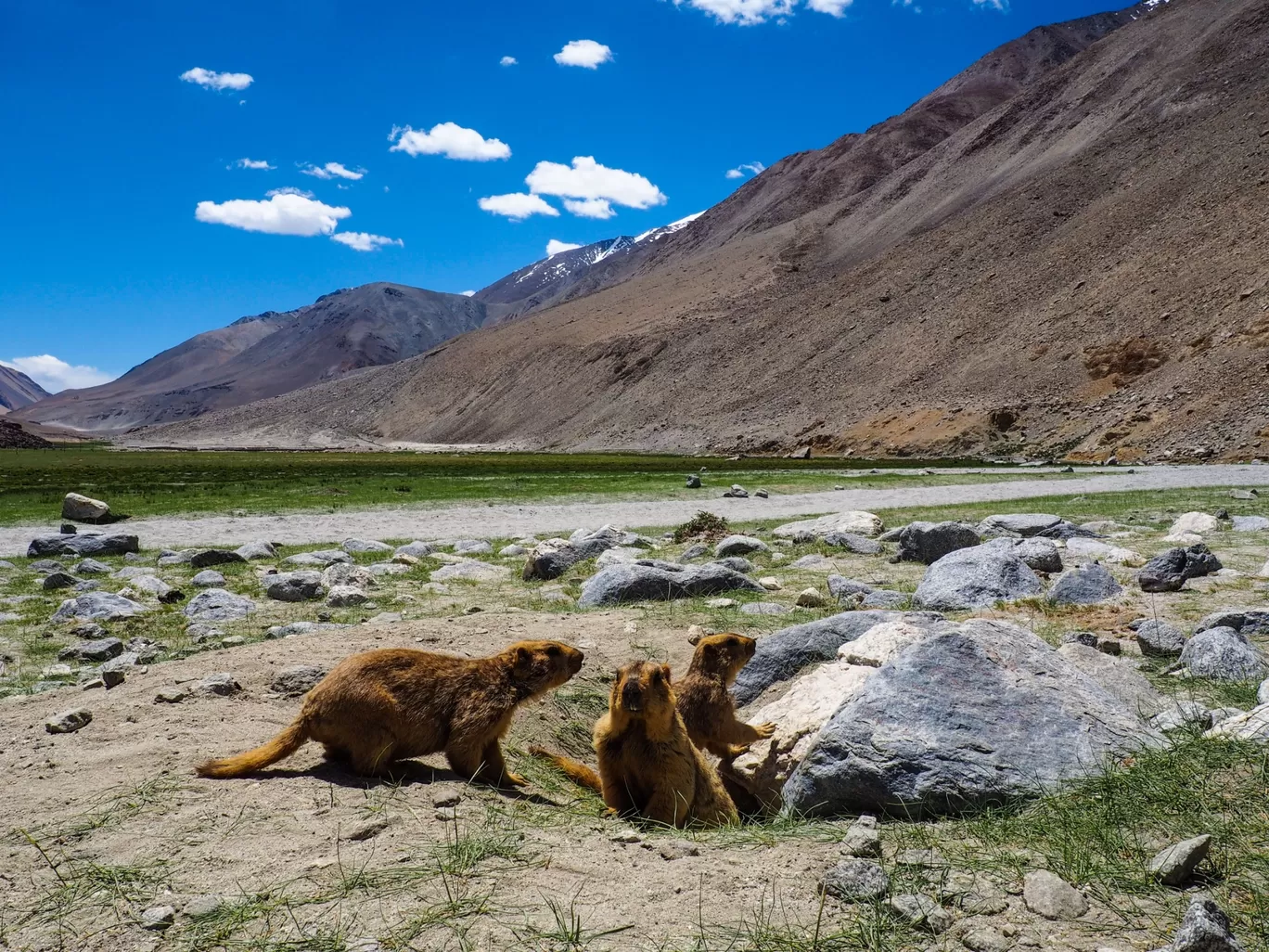 Photo of Ladakh By Saumya Vaishnav