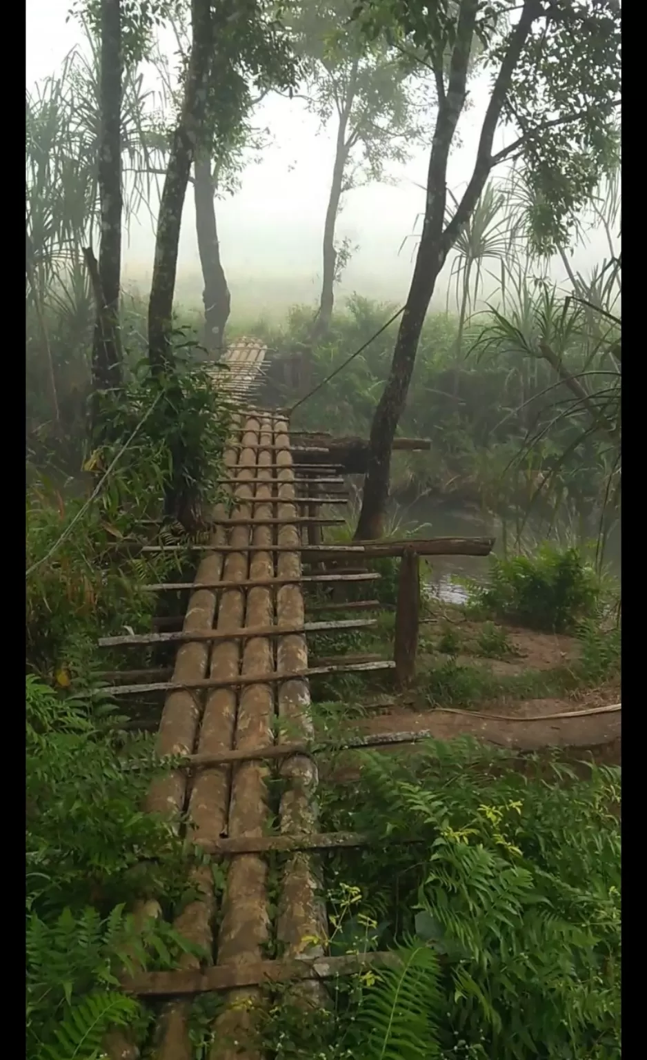 Photo of Nammane Home Stay By Raghav G
