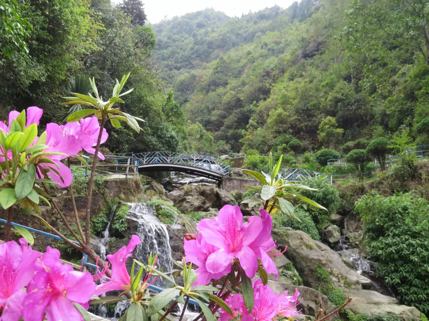 Photo of Darjeeling By Raghav G