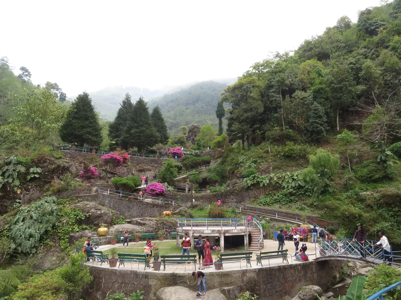 Photo of Darjeeling By Raghav G