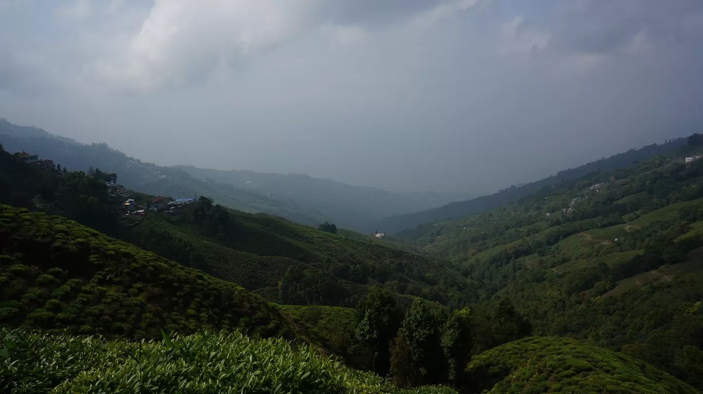 Photo of Darjeeling By Raghav G