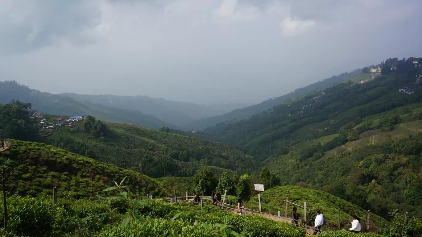 Photo of Darjeeling By Raghav G