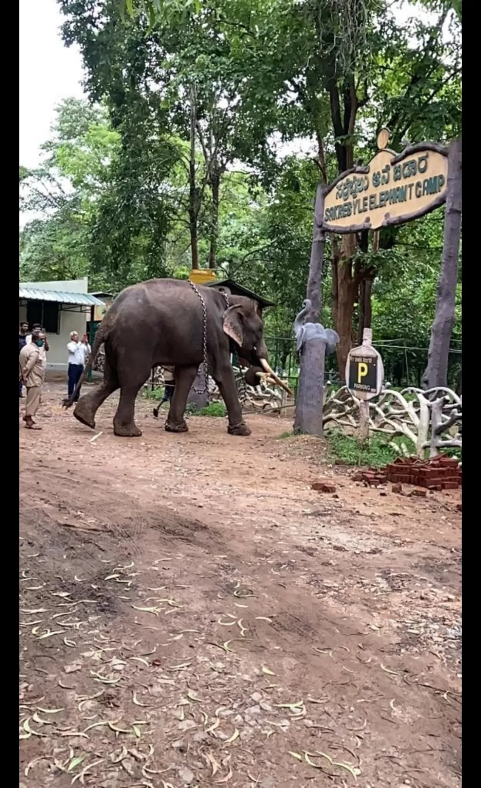 Photo of Sakrebailu Elephant Training Camp By Raghav G