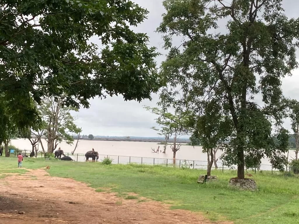 Photo of Sakrebailu Elephant Training Camp By Raghav G