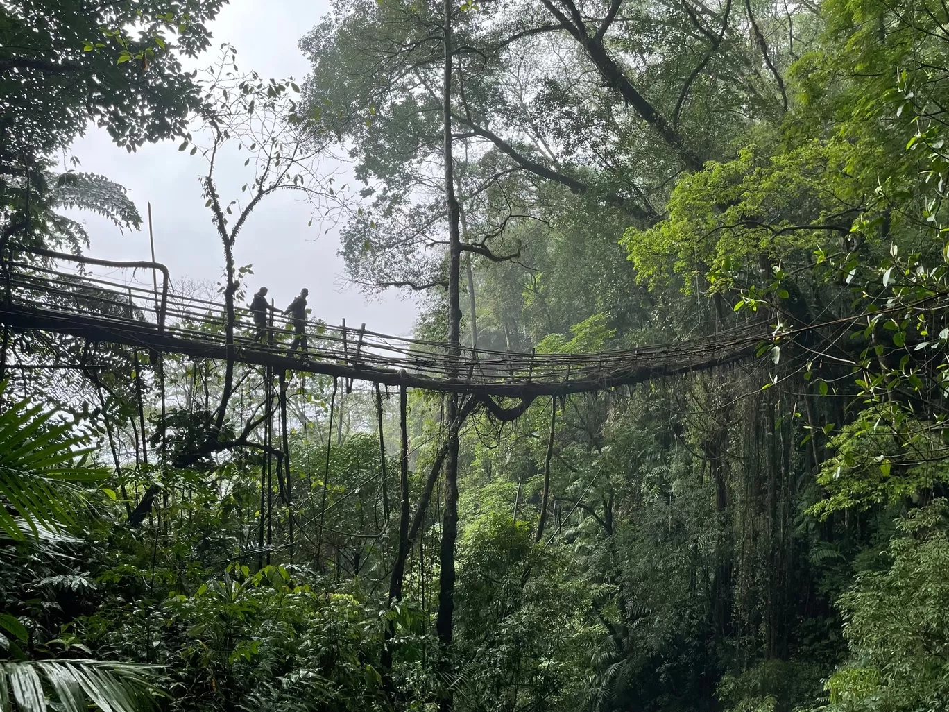 Photo of Cherrapunji‎ By Raghav G