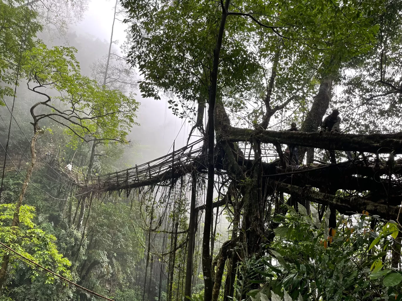 Photo of Cherrapunji‎ By Raghav G