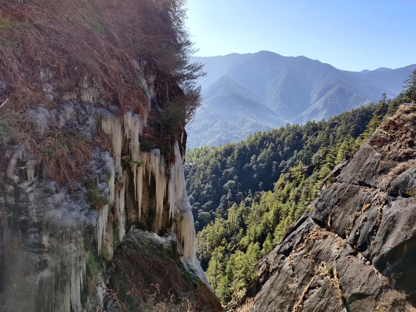 Photo of Paro By Ronika Goswami