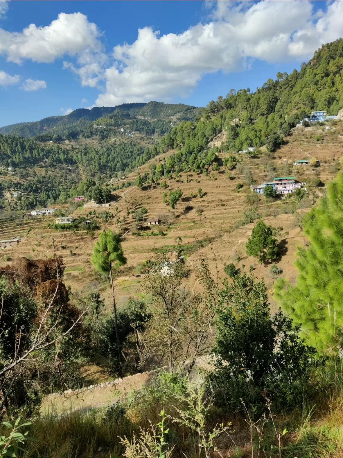 Photo of Mukteshwar By ashish mishra