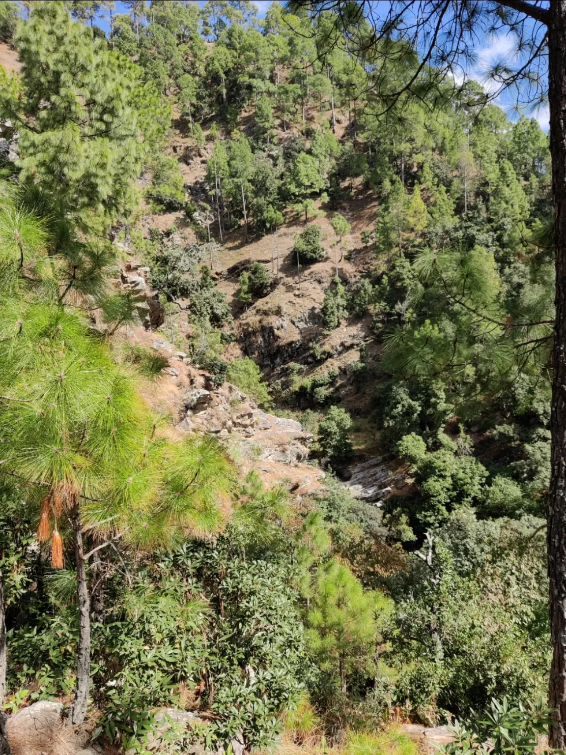 Photo of Mukteshwar By ashish mishra