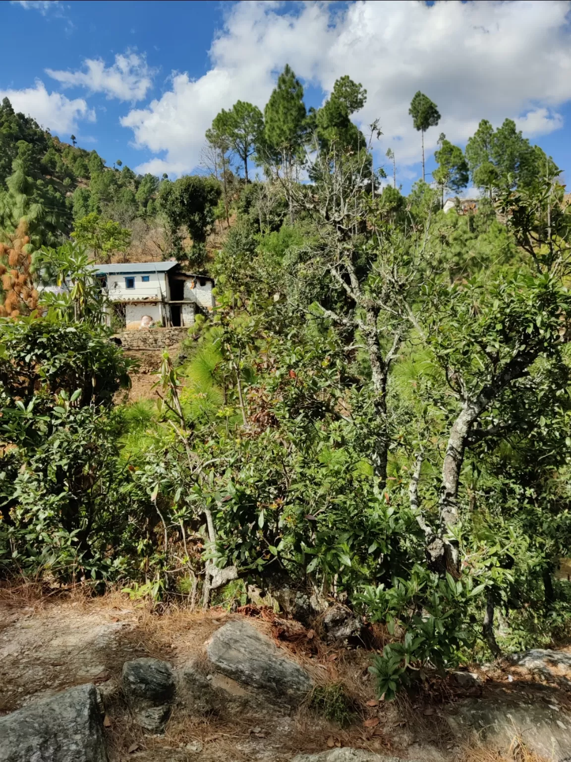 Photo of Mukteshwar By ashish mishra