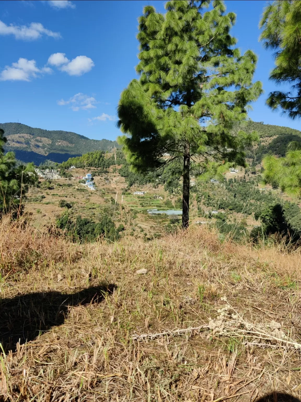 Photo of Mukteshwar By ashish mishra