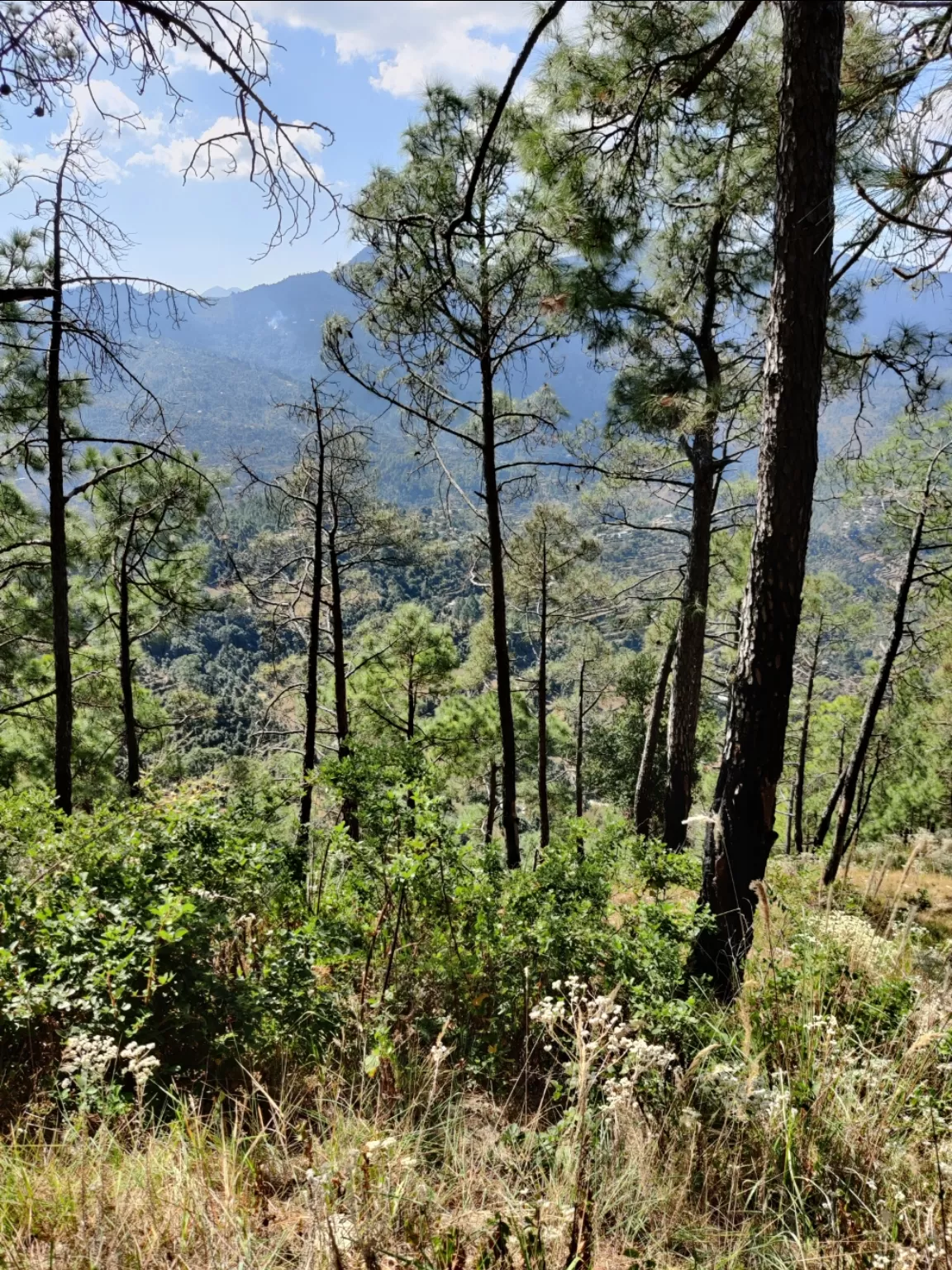 Photo of Mukteshwar By ashish mishra