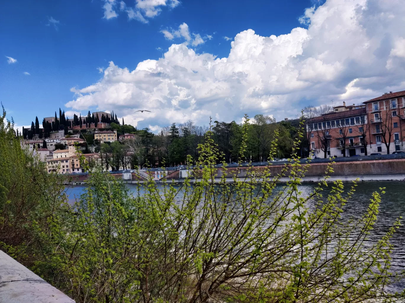 Photo of Verona By ashish mishra