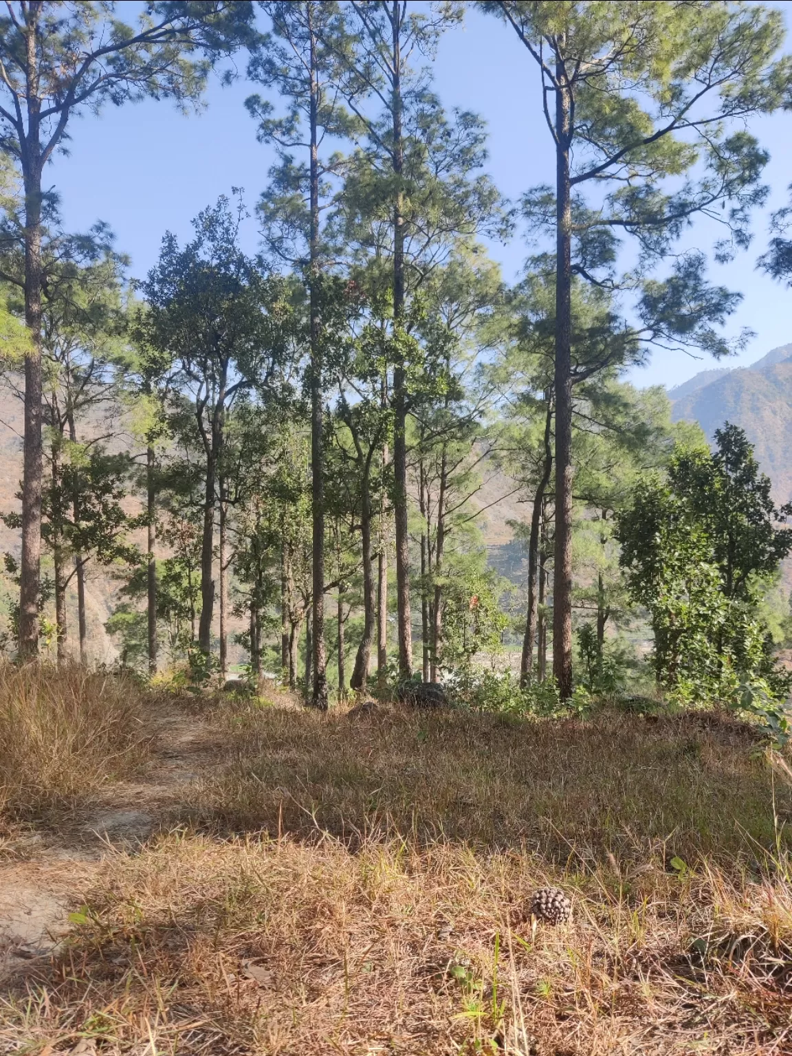 Photo of Haidakhan Babaji Ashram By ashish mishra