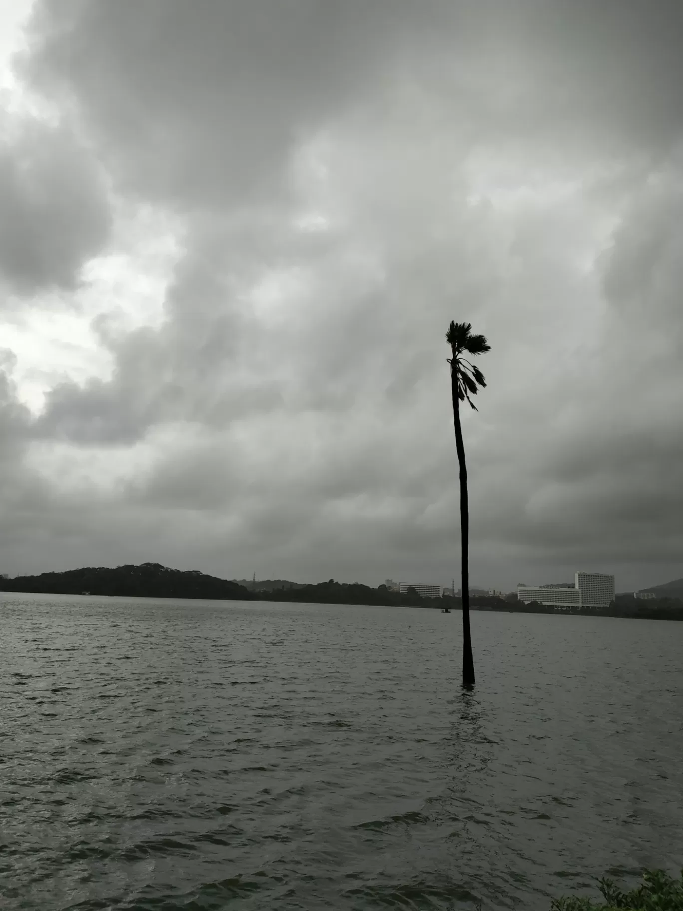 Photo of Powai Lake By Nehal Dedhia