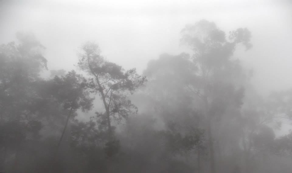Photo of Trip to Kodai By Mayank Tewari