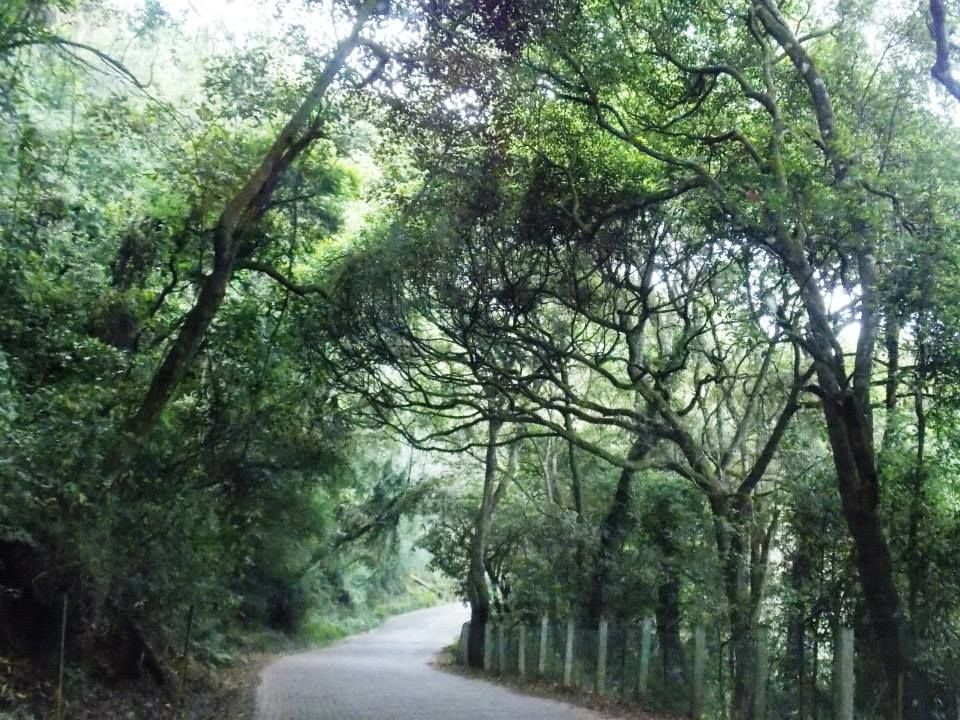 Photo of Trip to Kodai By Mayank Tewari