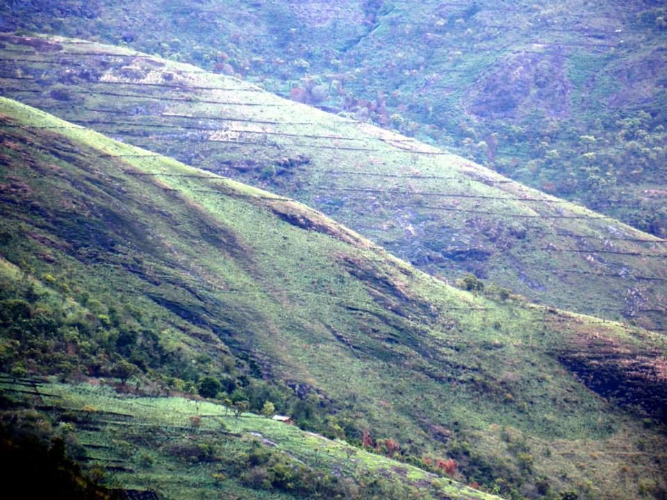 Photo of Trip to Kodai By Mayank Tewari