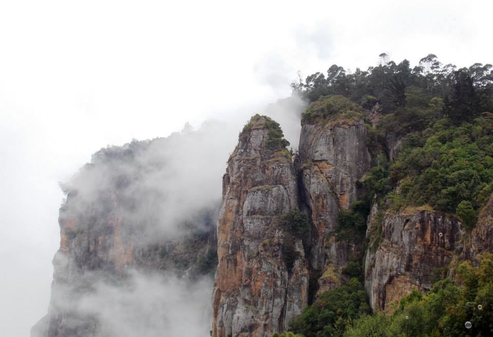 Photo of Trip to Kodai By Mayank Tewari