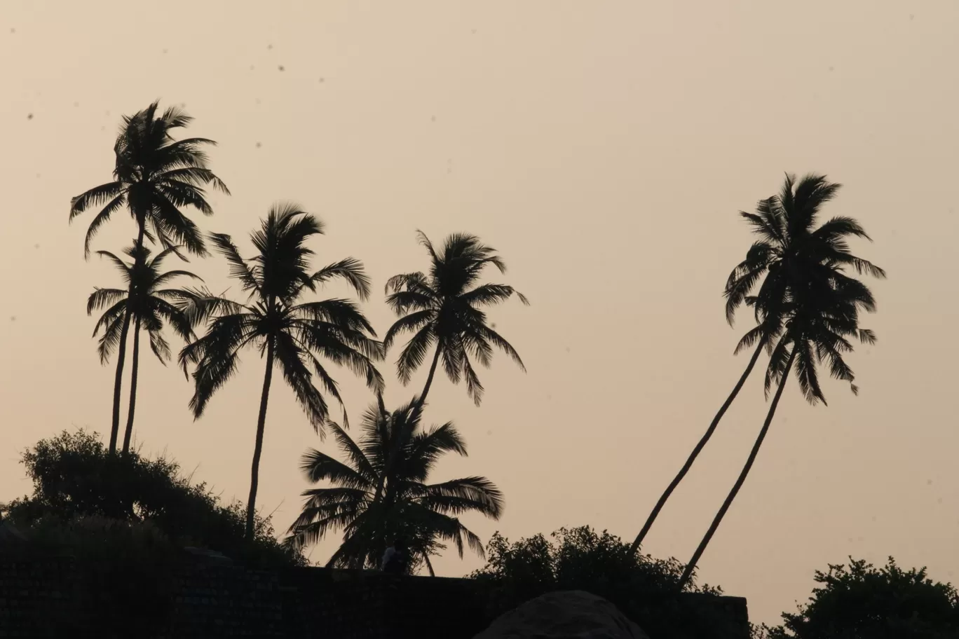 Photo of NITK Surathkal Beach By Likhith Umesh