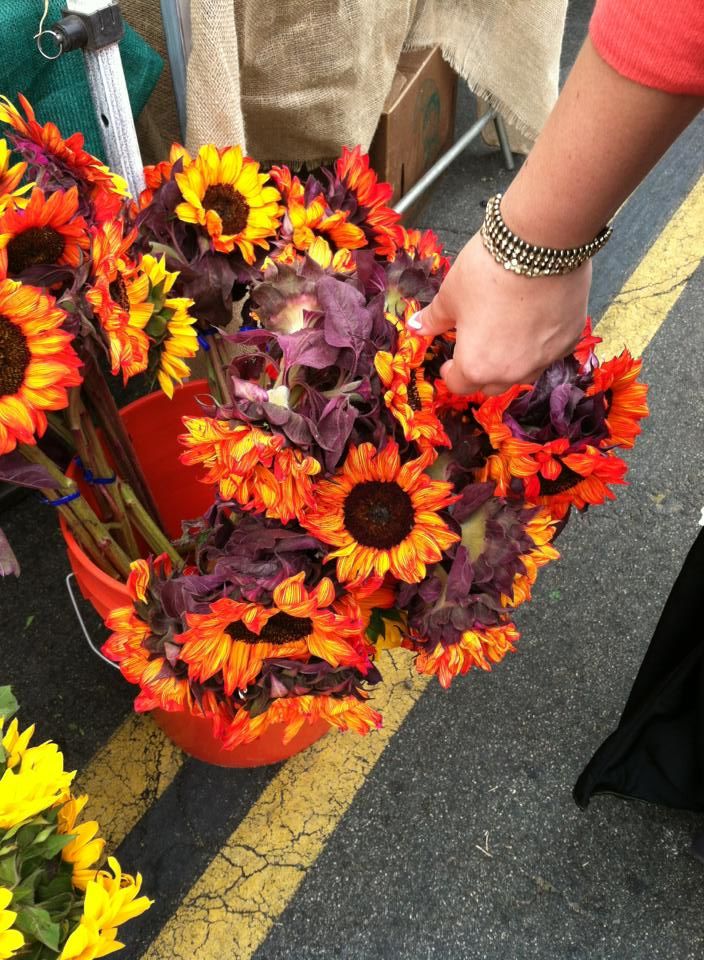 Little Italy Mercato Farmers Market San Diego United States View Images Timing And Reviews Tripoto