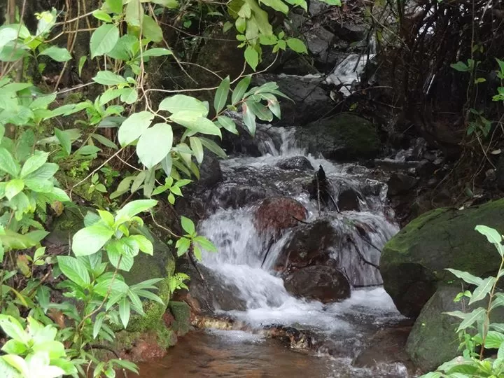 Photo of Koyna River By Amruta Navghare