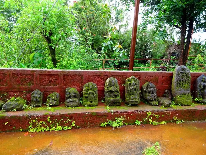 Photo of Koyna River By Amruta Navghare