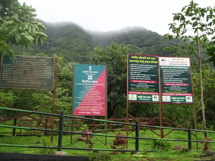 Photo of Koyna River By Amruta Navghare