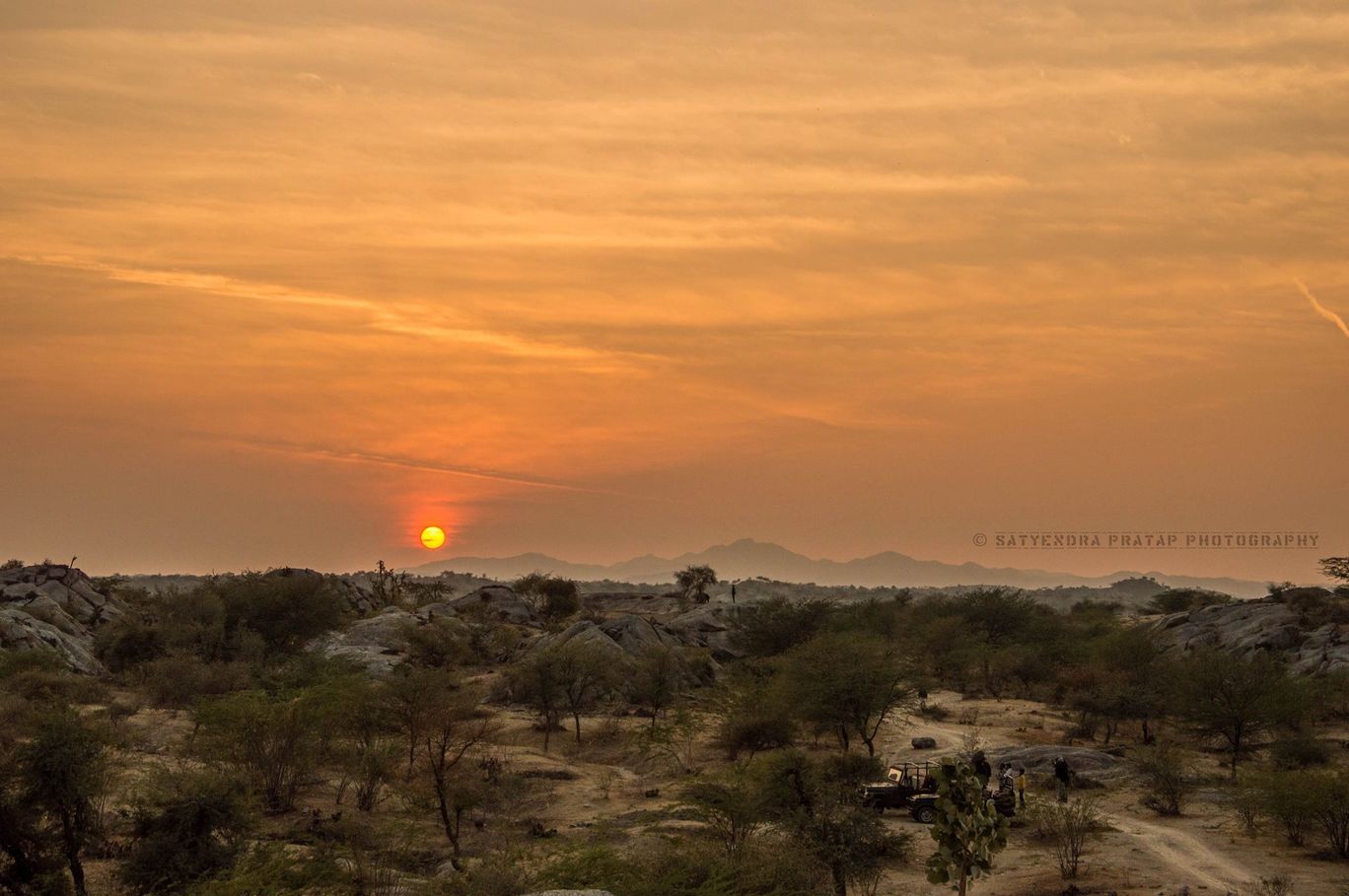 Photo of Leopard Safari at Bera By Satyendra Pratap