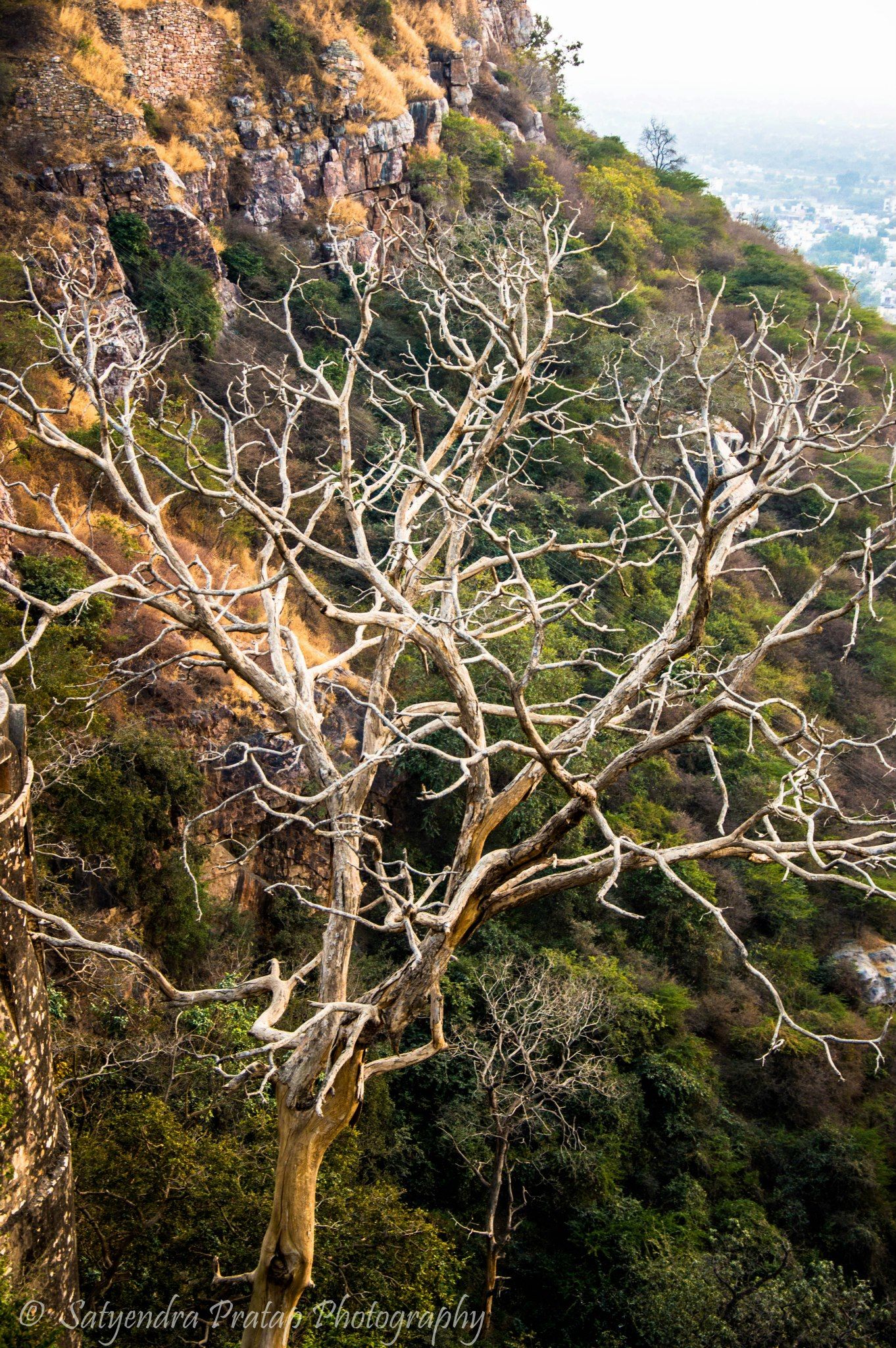 Photo of Udaipur - Chittorgarh trip By Satyendra Pratap