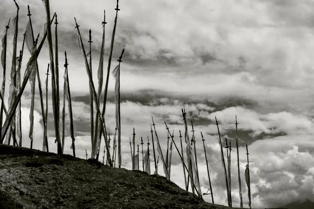 Photo of Tripoto Contest -travel + leisure By Shreya Bhargava Garg
