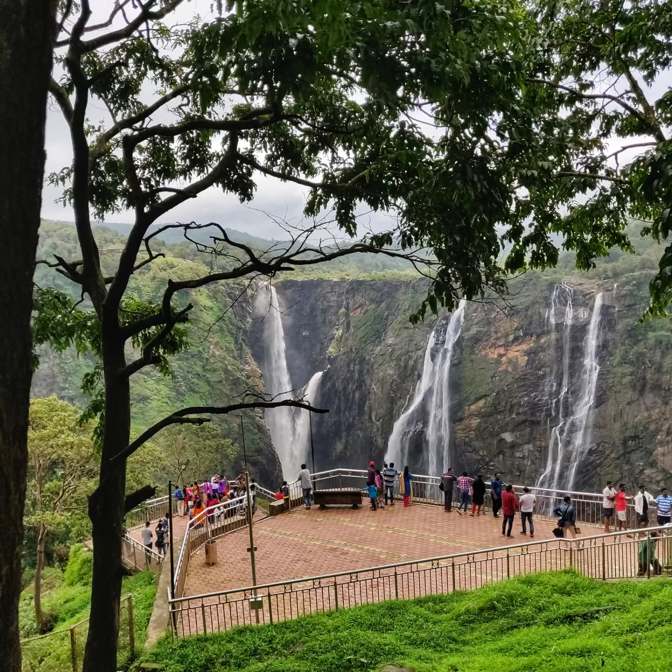 Photo of Jog Falls By Rashmi Badami