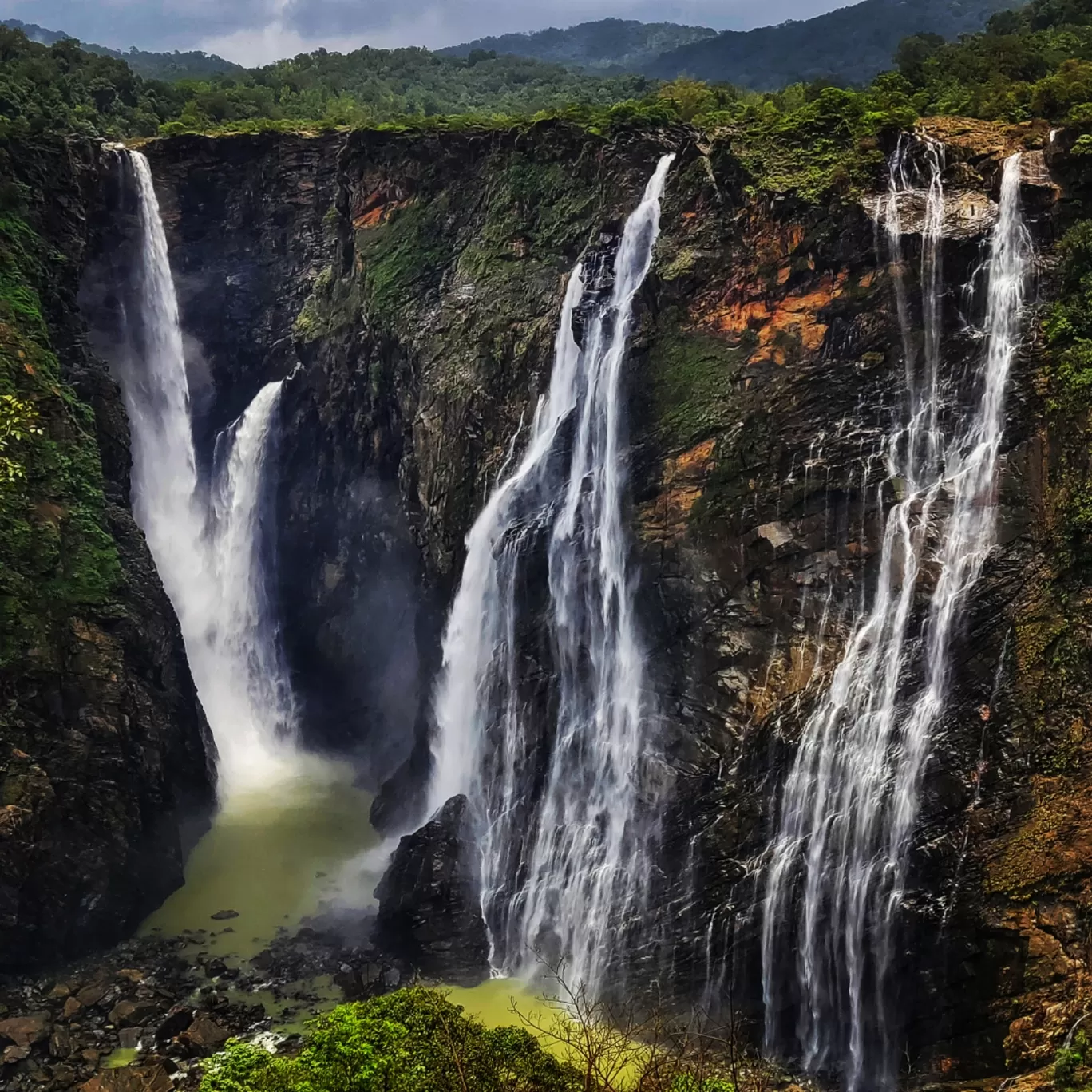 Photo of Jog Falls By Rashmi Badami