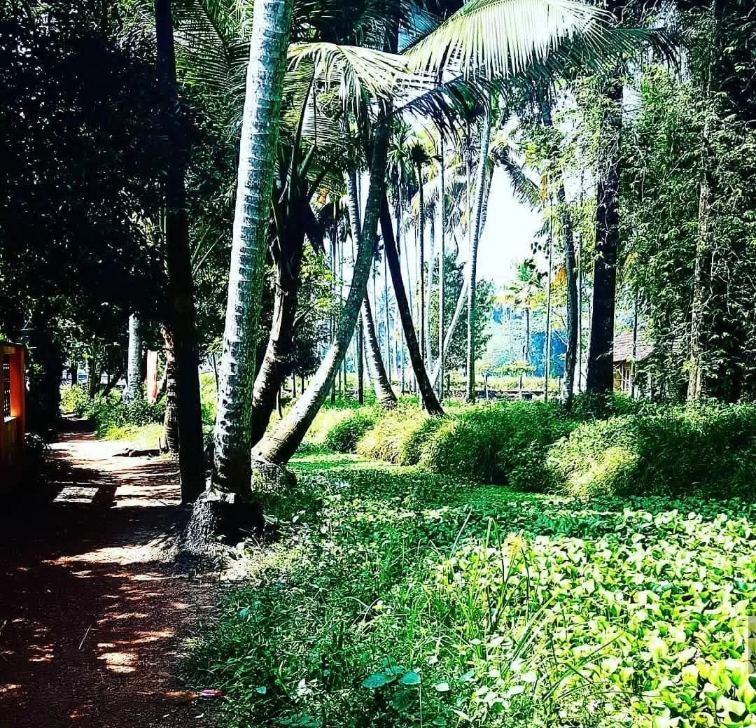 Photo of Navi Mumbai By Abhishek Mitra