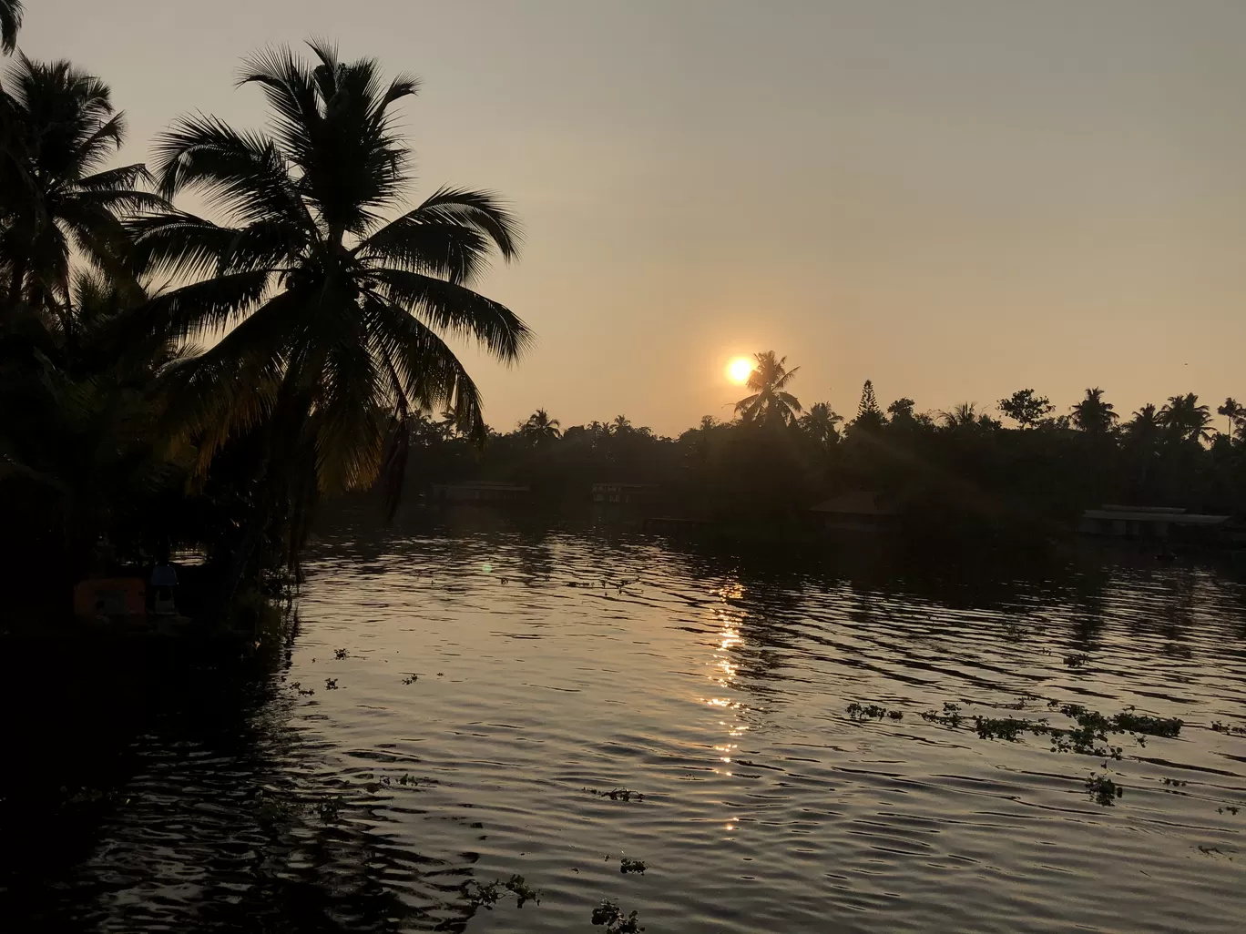 Photo of Kerala By Anu Anand