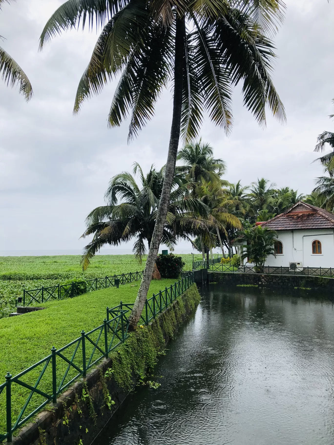 Photo of Kerala By Anu Anand
