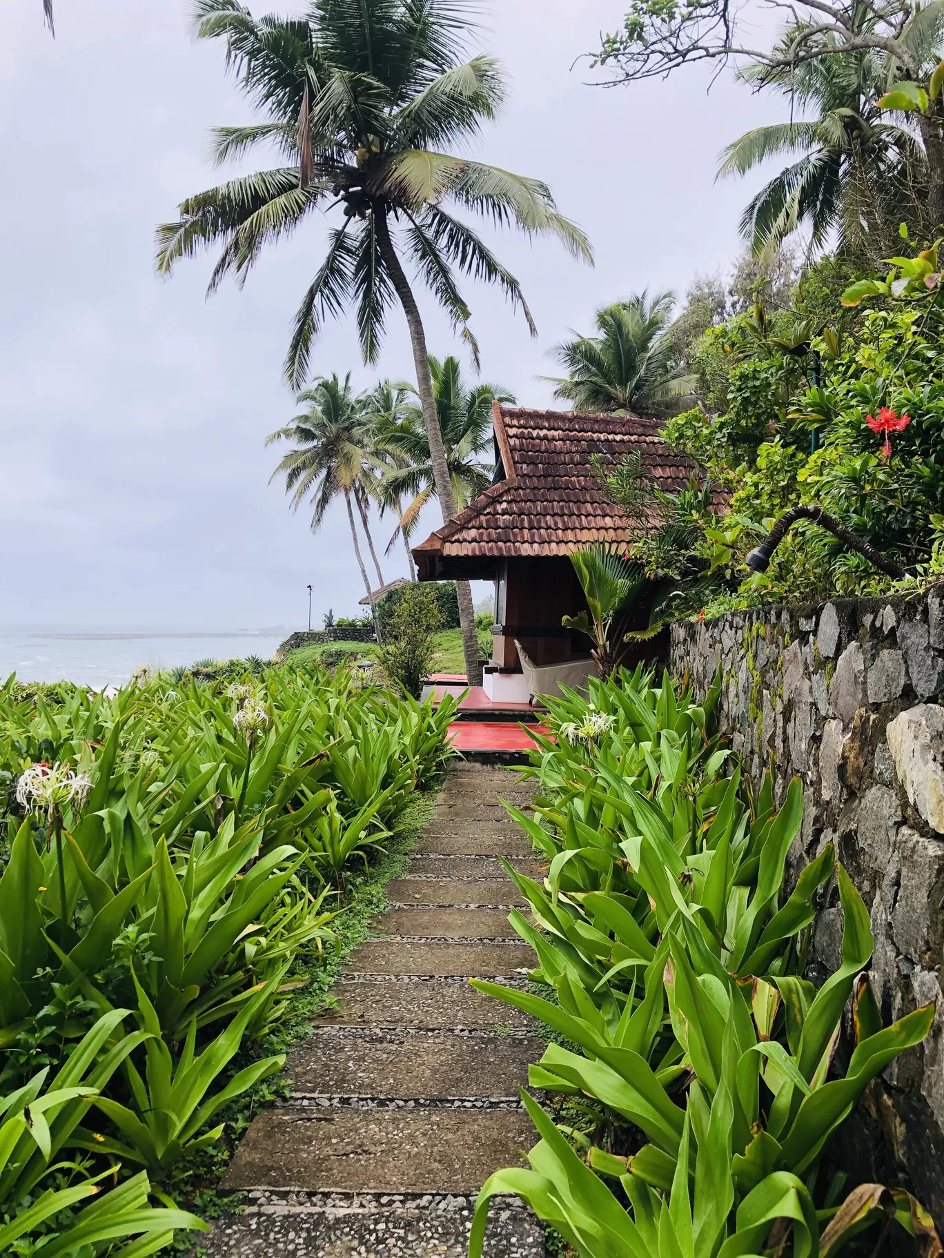 Photo of Kerala By Anu Anand