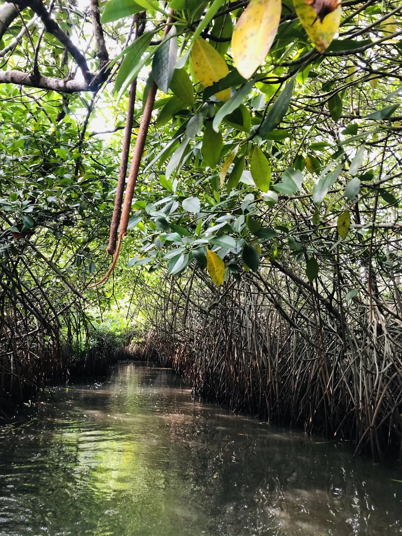Photo of Kerala By Anu Anand