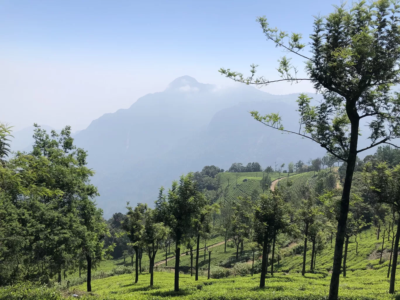 Photo of Kerala By Anu Anand