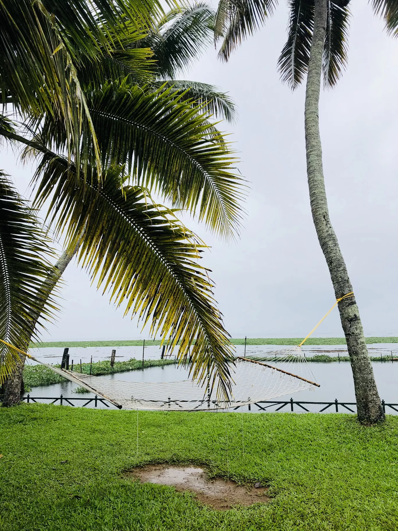 Photo of Kerala By Anu Anand