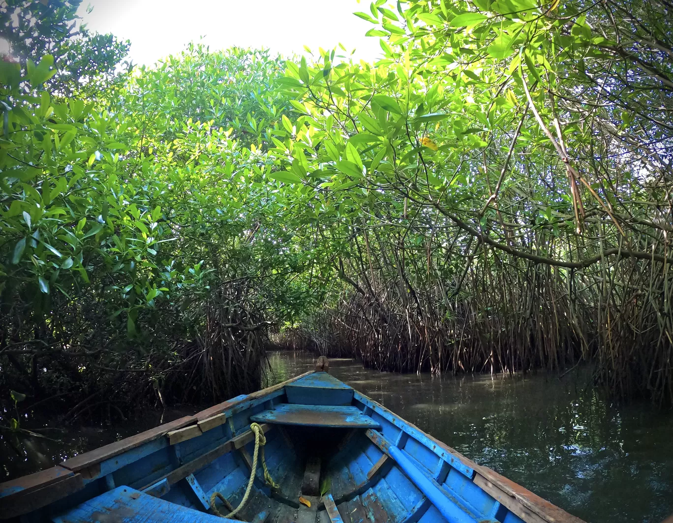 Photo of Kerala By Anu Anand