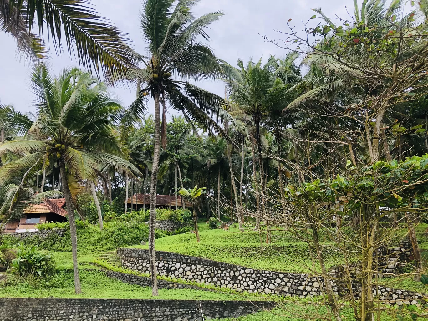 Photo of Kerala By Anu Anand
