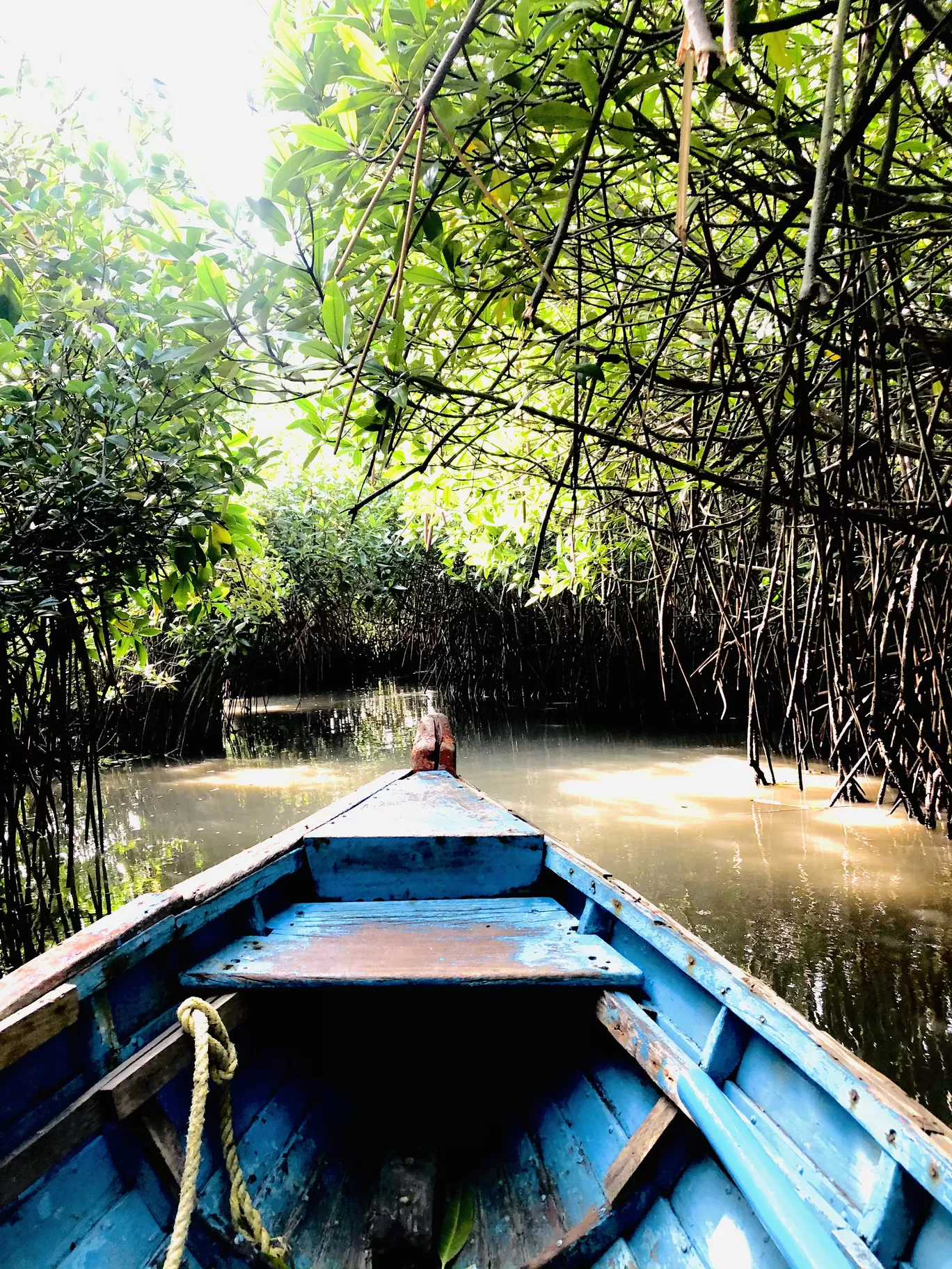 Photo of Kerala By Anu Anand