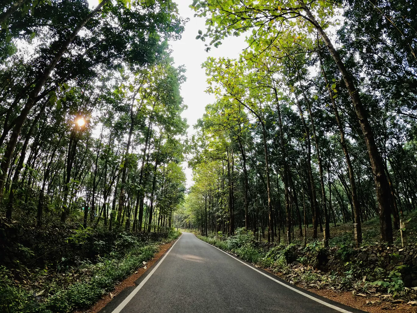 Photo of Kerala By Anu Anand
