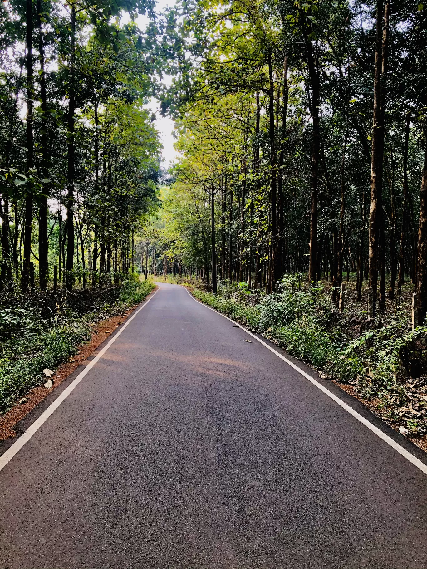 Photo of Kerala By Anu Anand